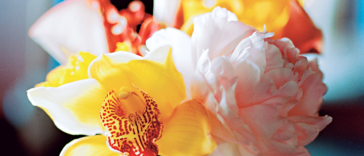 Besætningen omfatter en blomsterhandler, der dekorerer lounger, barer og restauranter med blomsterudstillinger