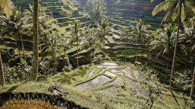 Indonesien & Singapore