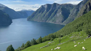 Norske fjorde fra København