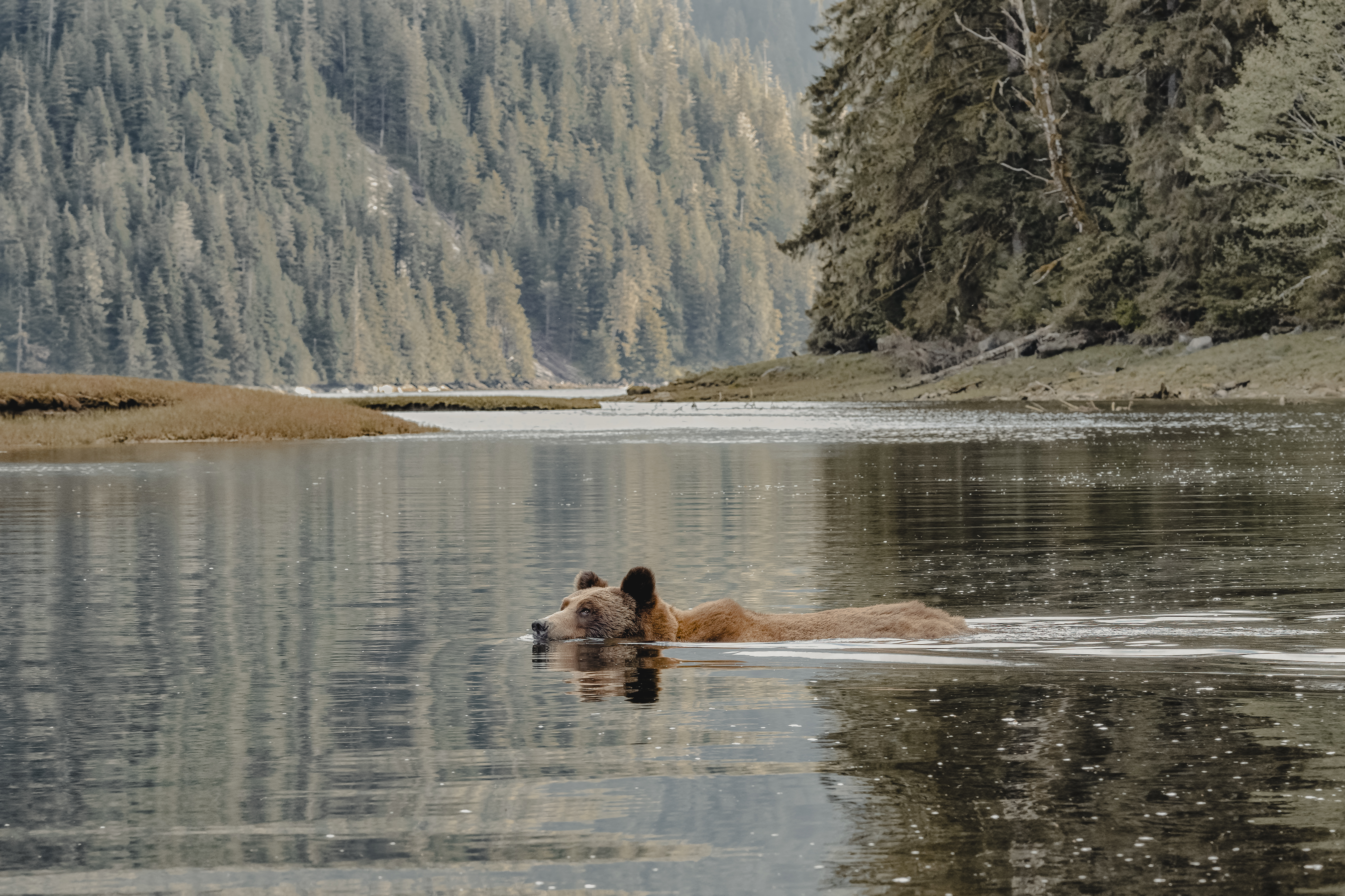 Alaska