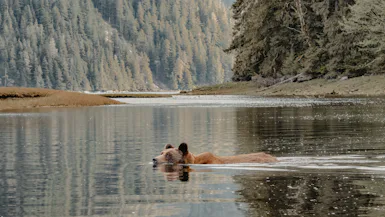 Alaska