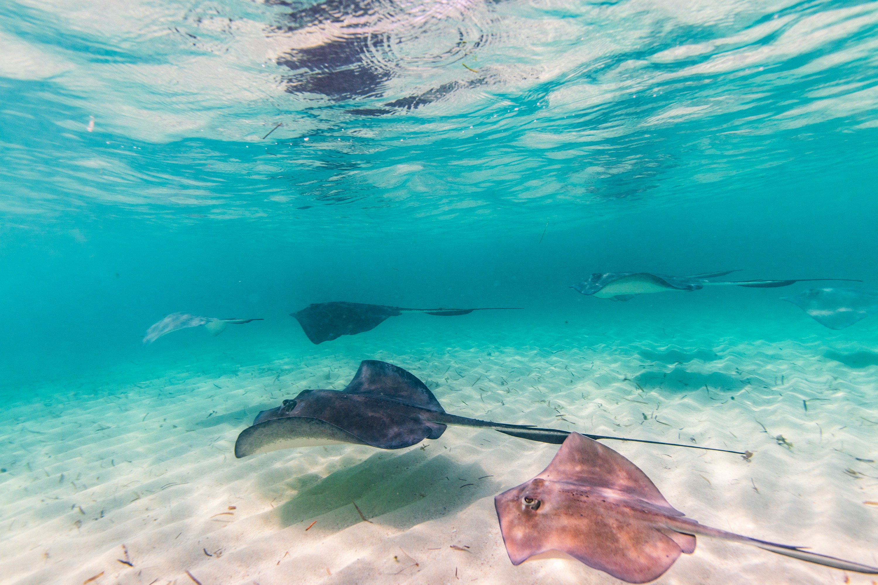 Bimini, Bahamas