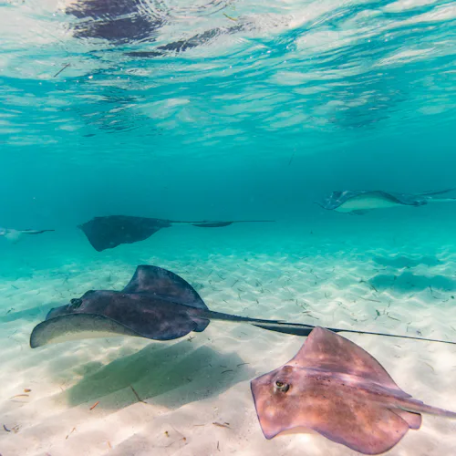 Bimini, Bahamas