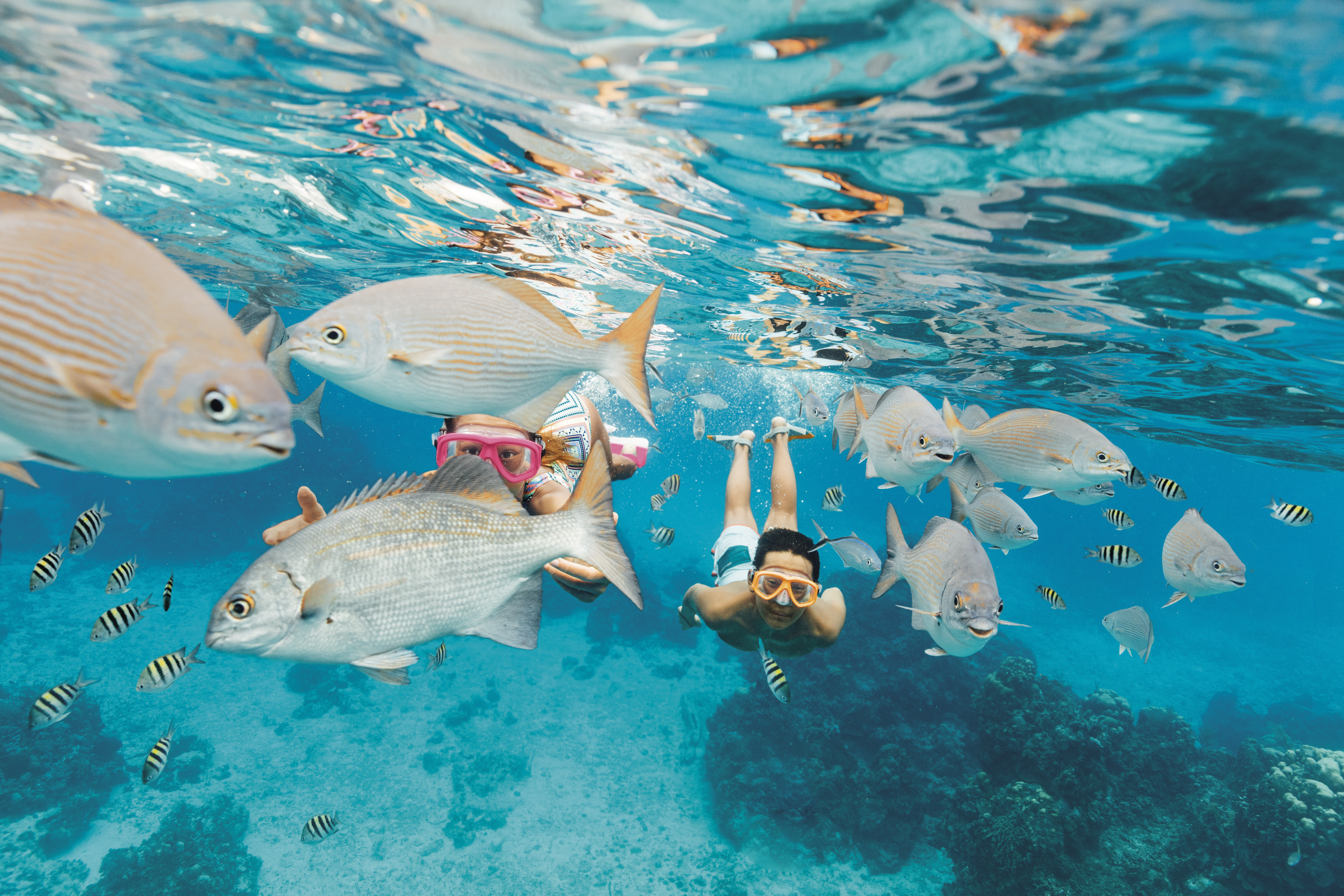 Cozumel, Mexico
