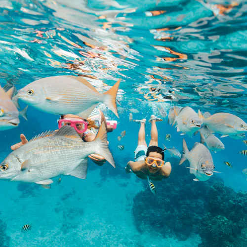Cozumel, Mexico