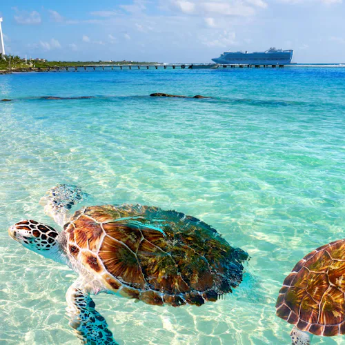 Costa Maya, Mexico