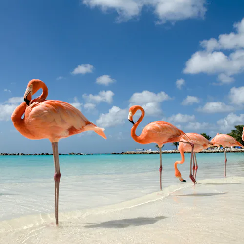 Oranjestad, Aruba