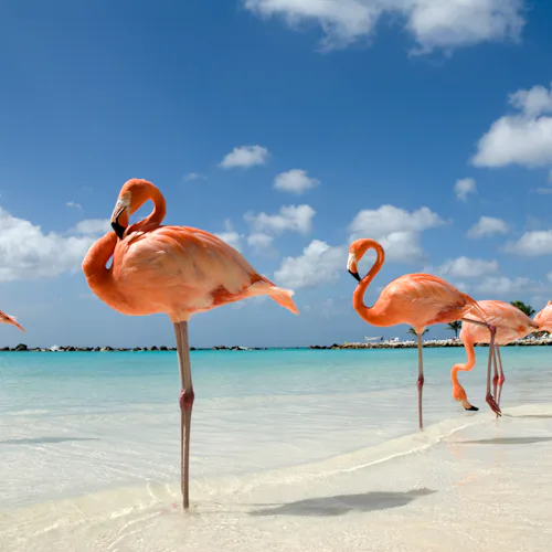 Aruba & Curaçao