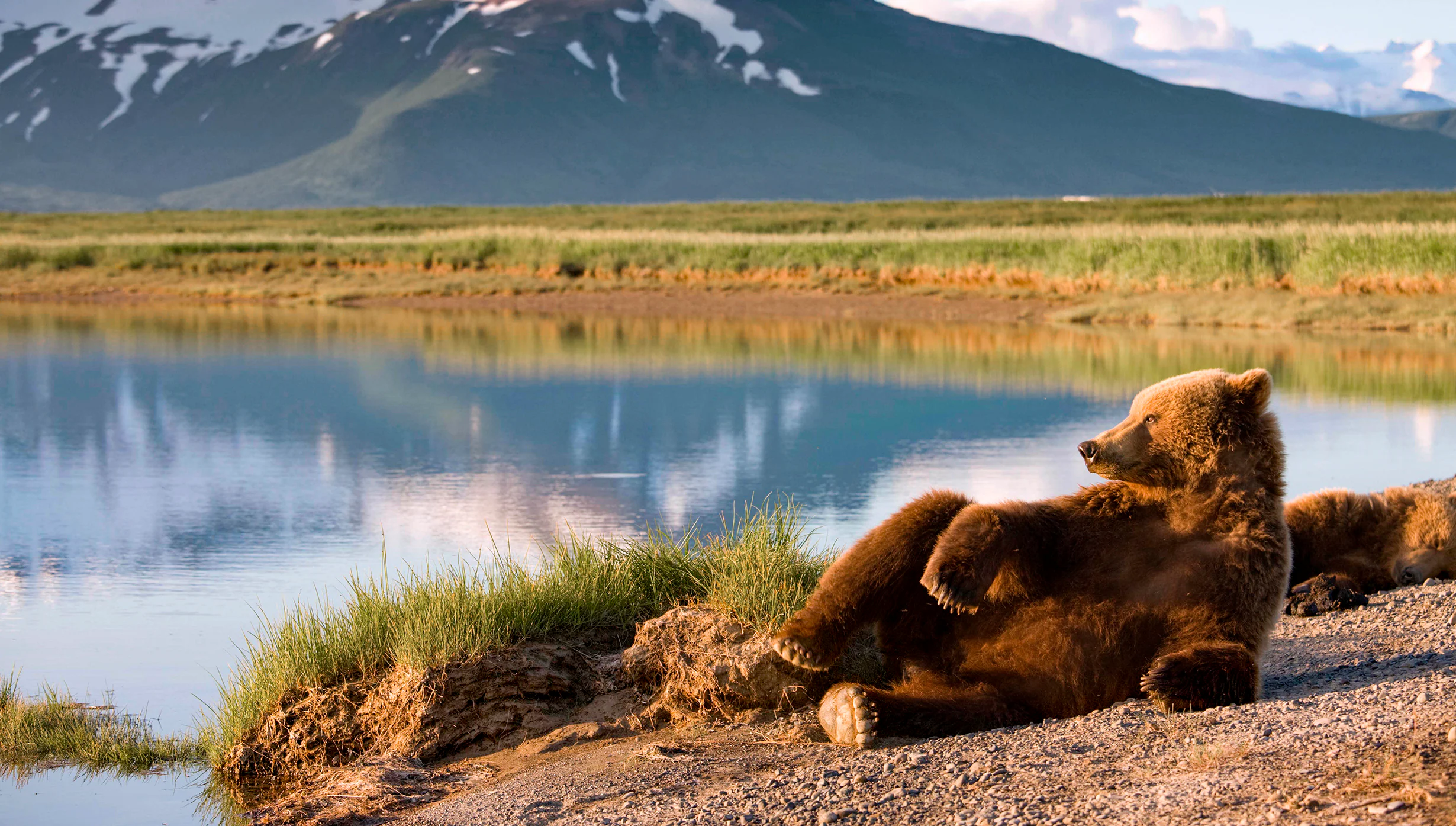 Alaska
