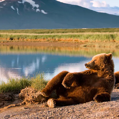 Alaska