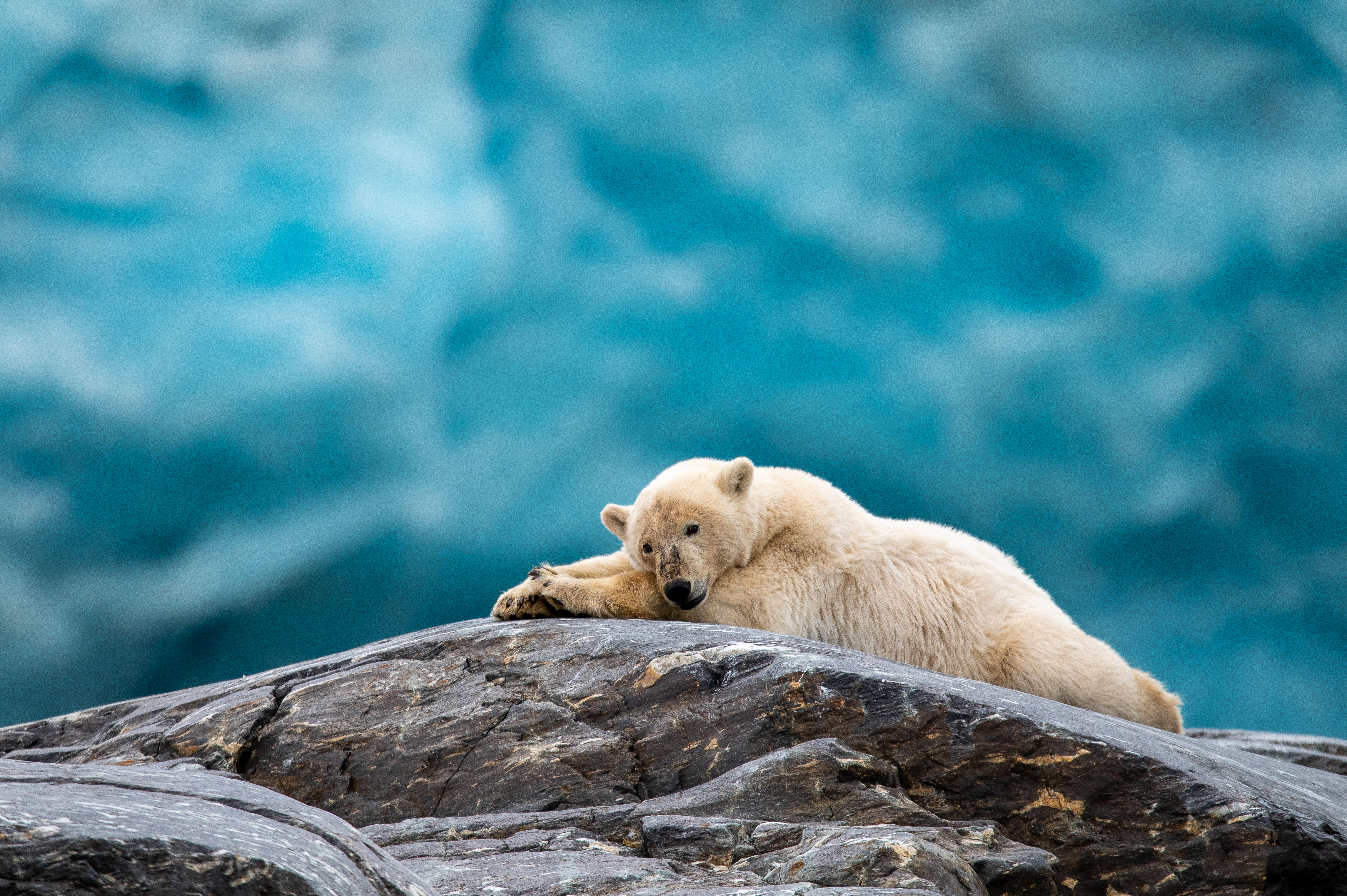 Svalbard