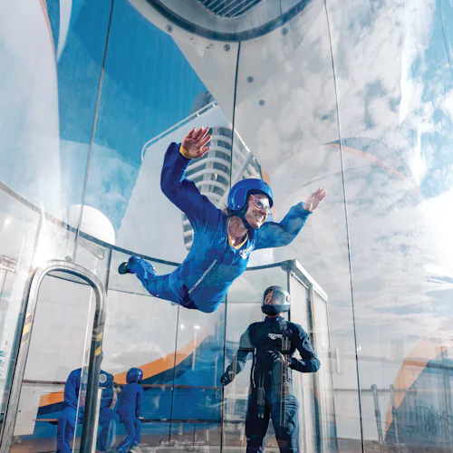 Skydive simulator