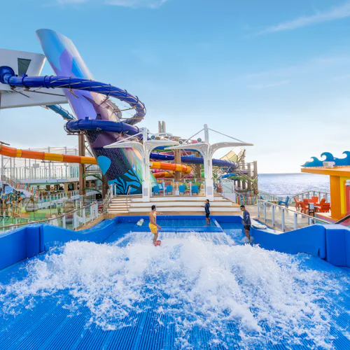 FlowRider®