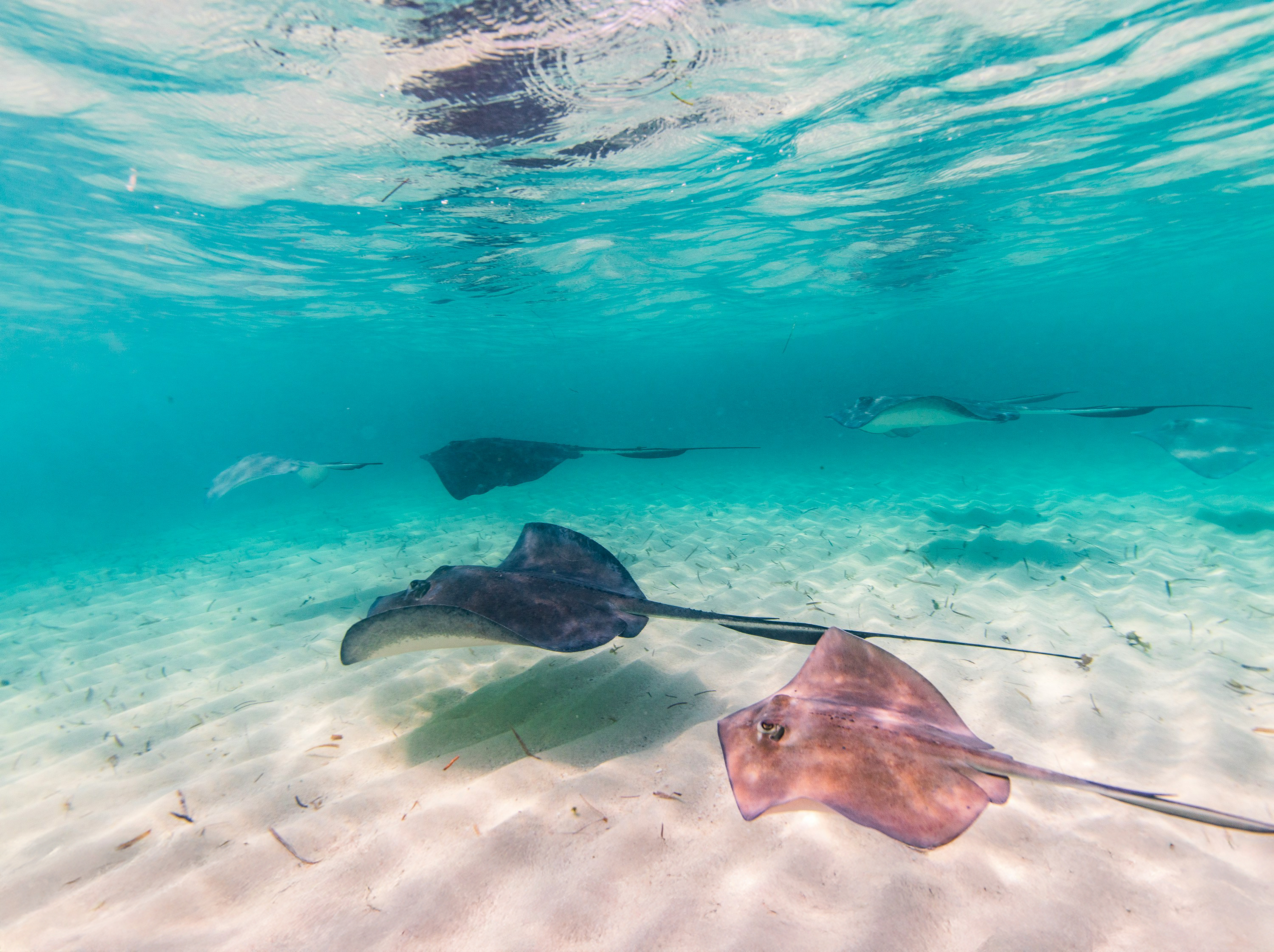 Bimini, Bahamas