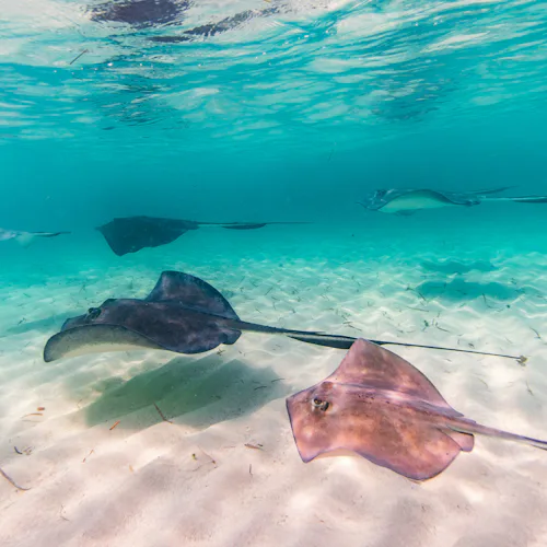 Bimini, Bahamas