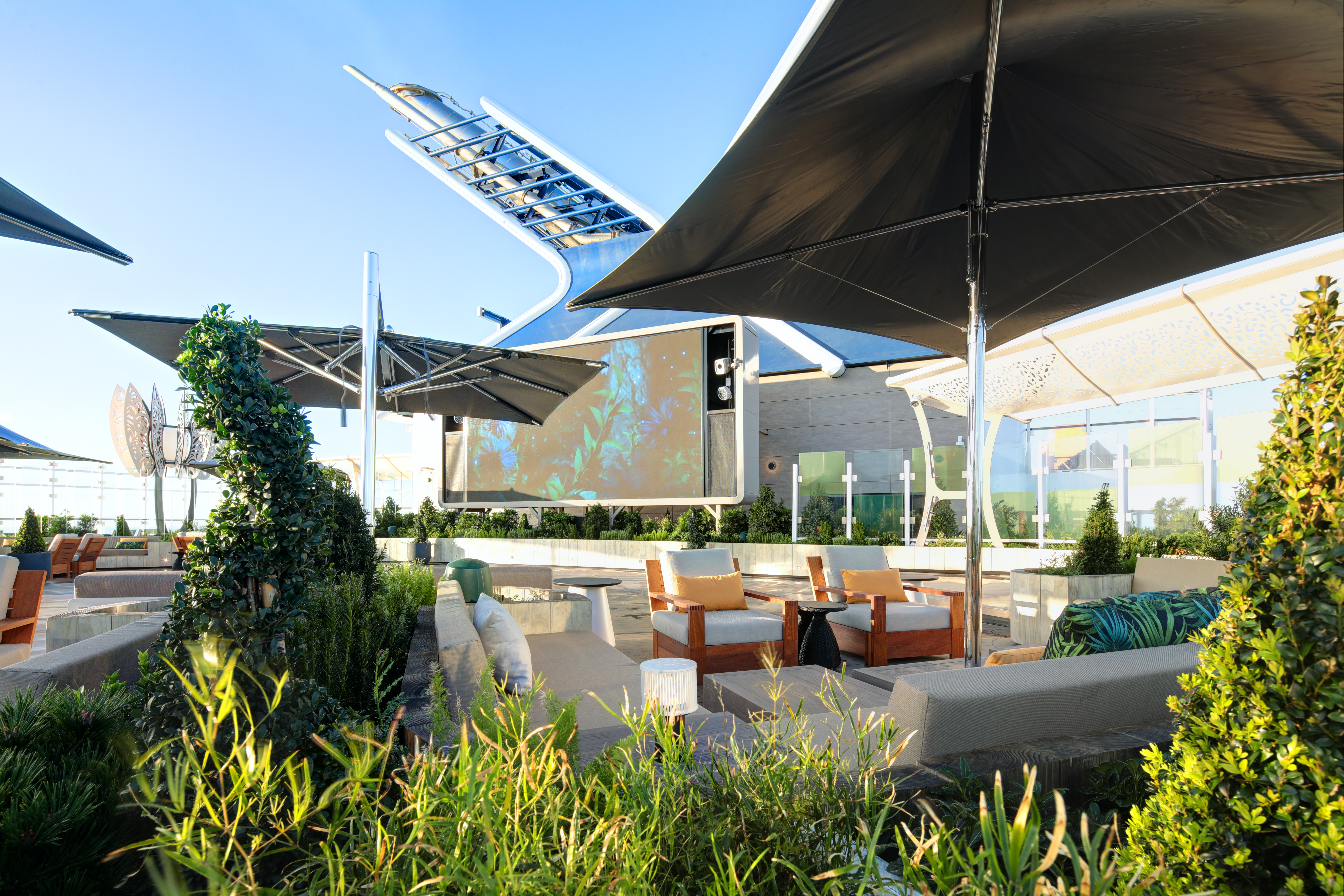 The Rooftop Garden