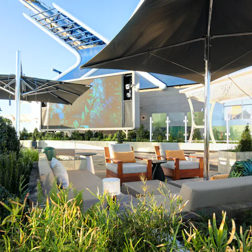 The Rooftop Garden