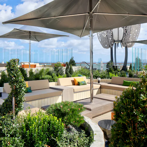 Rooftop Garden