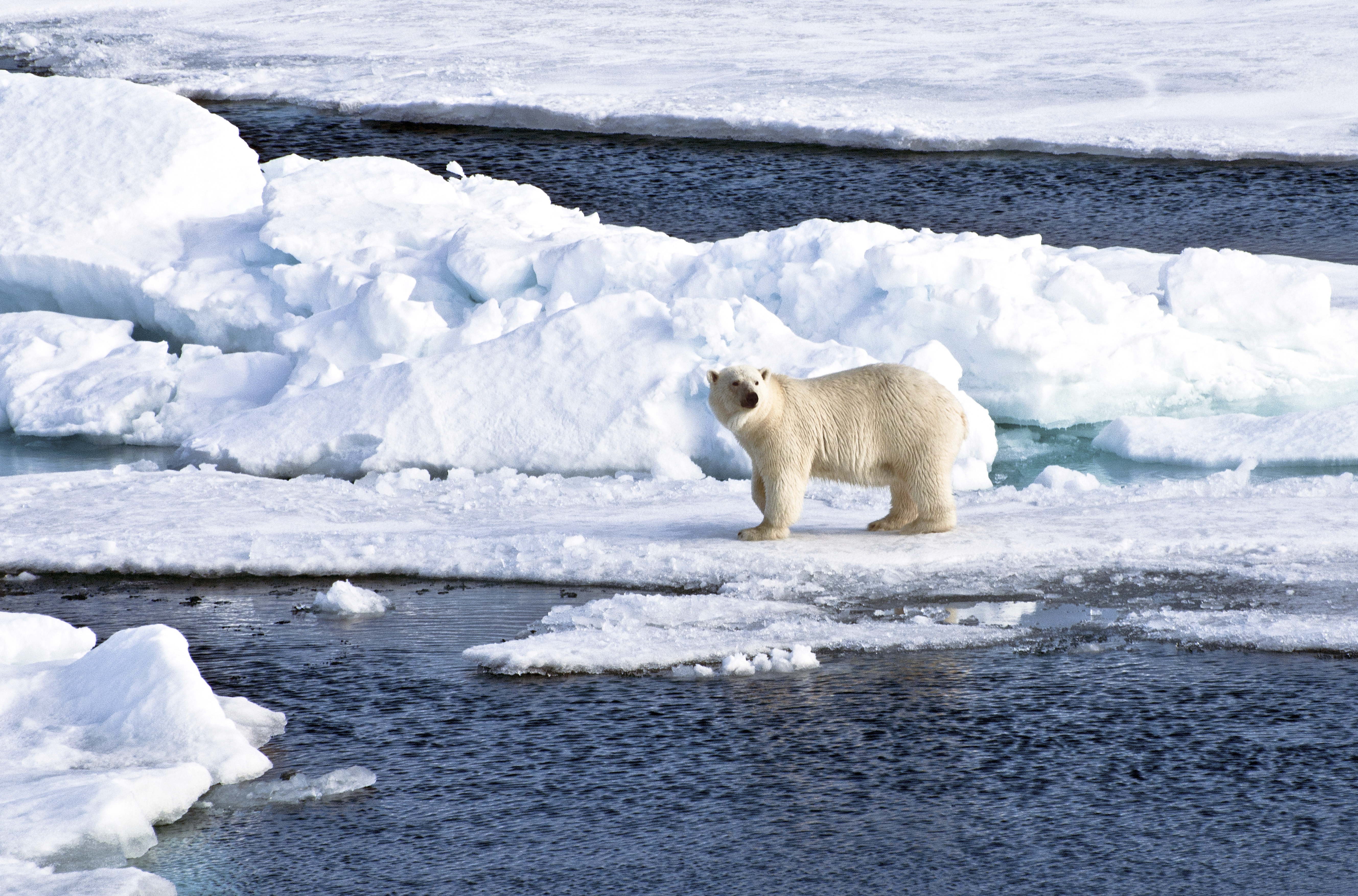 Longyearbyen, Svalbard