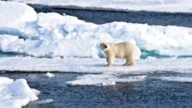 Longyearbyen, Svalbard