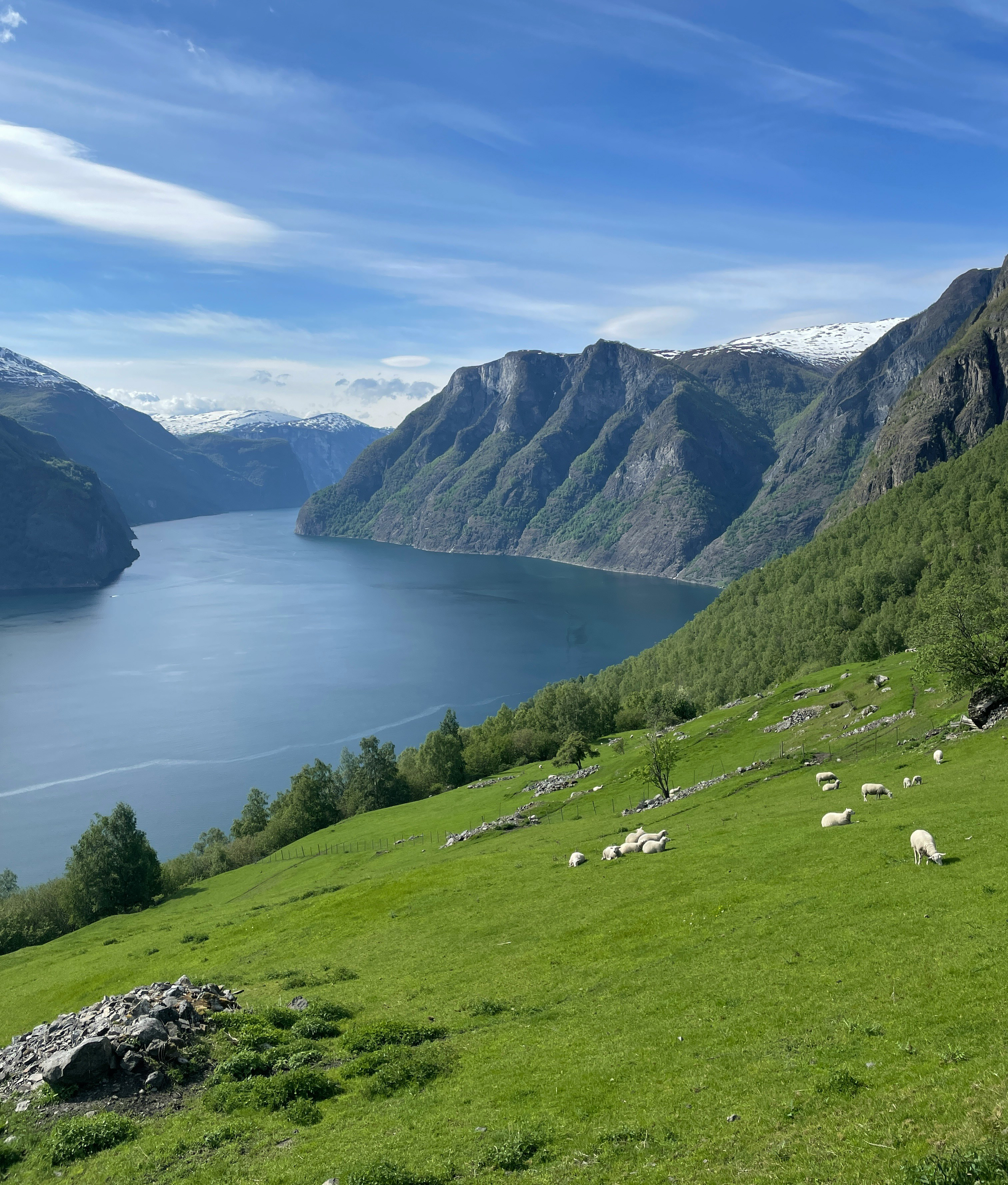 Specialtilbud – Norske fjorde fra København