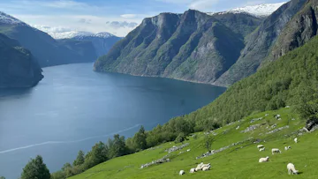 Specialtilbud – Norske fjorde fra København